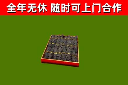 富平回收海参